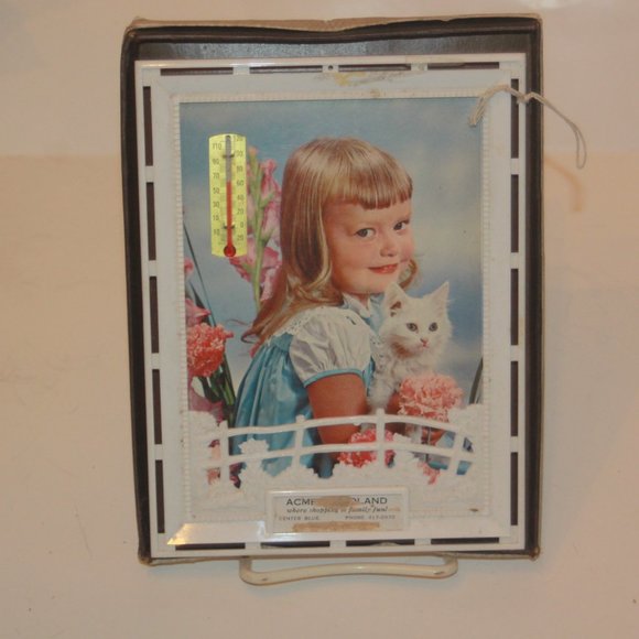 Vintage Acme Foodland Store Advertising Thermometer Picture Original Box - Picture 1 of 5